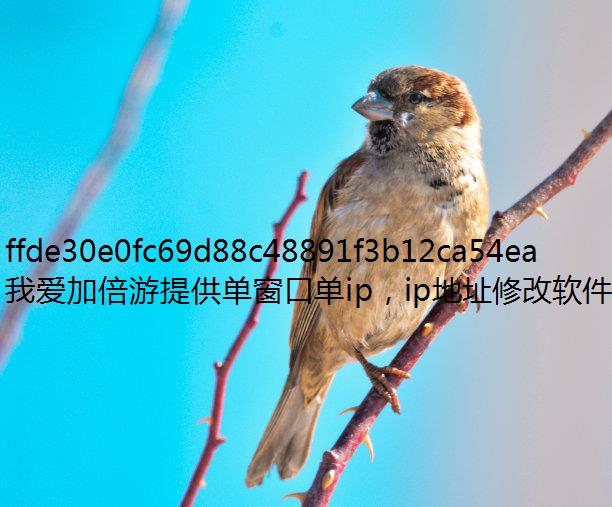 魔域奇迹手游搬砖技巧 魔免费ip域奇迹手游模拟器多开切换不同IP方法