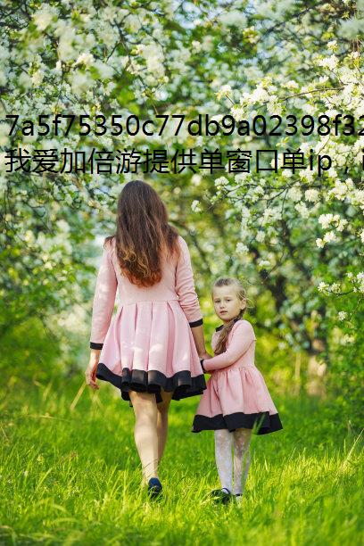 代理IP的那些事儿免费ip