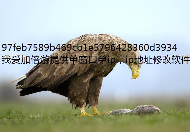 防封IPIP小知识之IP网络流量分析技术