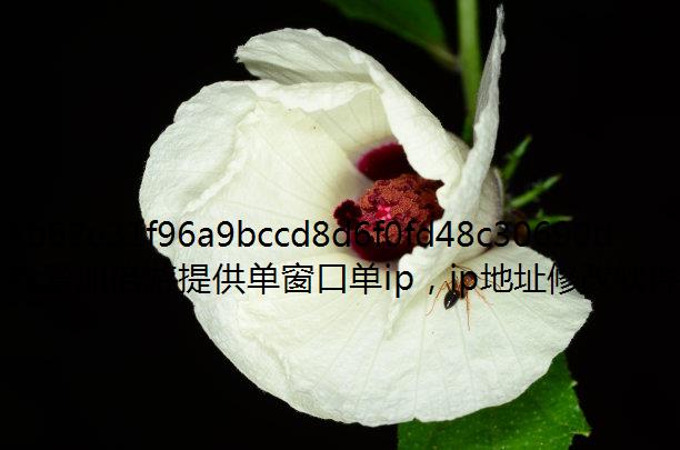 如何利用代理IPsocks5代理静态ip来防止被薅羊毛?